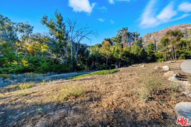 Drew Fenton | 31888 Sea Level Drive Malibu CA | MLS: 7442619