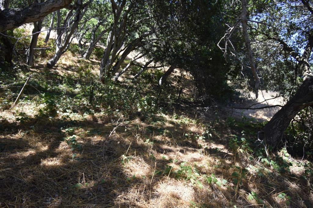 MLS #ML81994433 image #48