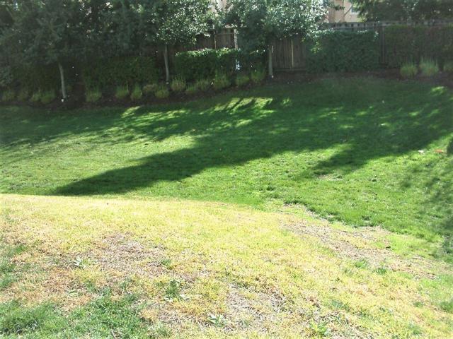 51 Sturla Way, Gilroy CA: https://media.crmls.org/mediaz/a66d1d6d-7c7a-4f22-99cf-94341acbe582.jpg