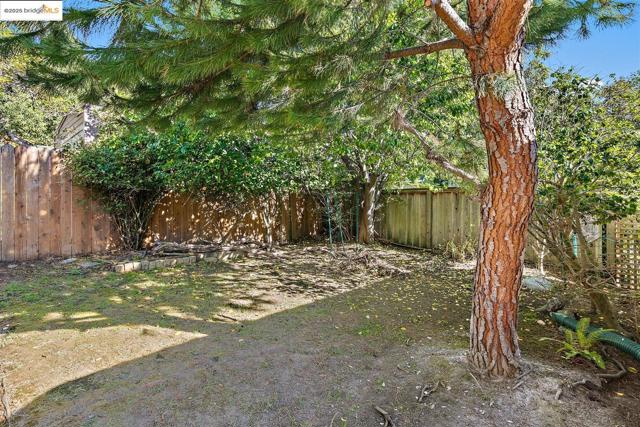 View of fenced backyard