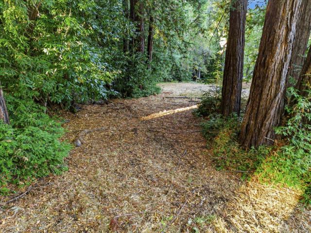 12 Montecito Road, Woodside CA: https://media.crmls.org/mediaz/a680a7a8-f90b-4af4-a538-8a10d2adda7a.jpg