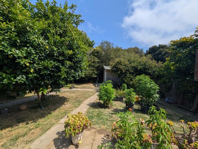 1477 Folsom Avenue, San Pablo CA: https://media.crmls.org/mediaz/a684bbd9-7840-4ff1-8cdb-1eebd20c620c.jpg