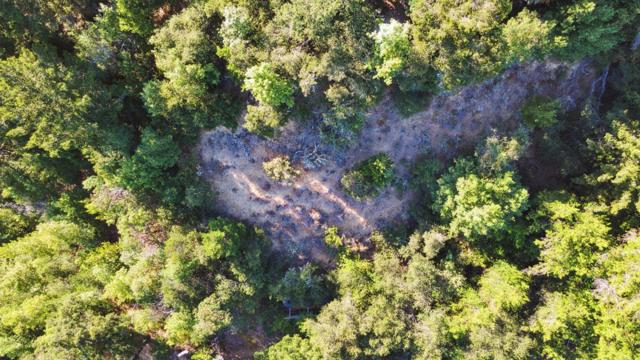 520 Laguna, Los Gatos CA: https://media.crmls.org/mediaz/a6895b78-1127-444b-a12f-1574af7f289e.jpg