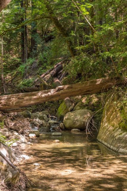 25373 Spanish Ranch Road, Los Gatos CA: https://media.crmls.org/mediaz/a6898680-b7e8-41a5-a4f7-fb149dce28a6.jpg