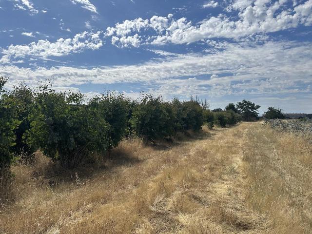 0 Llagas Avenue, San Martin CA: https://media.crmls.org/mediaz/a68d48ee-7963-4598-8637-f8159290a48a.jpg