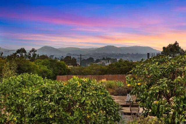 1567 Crest Drive, Encinitas CA: https://media.crmls.org/mediaz/a69817d8-48b4-446b-a2b3-4e0c40782538.jpg