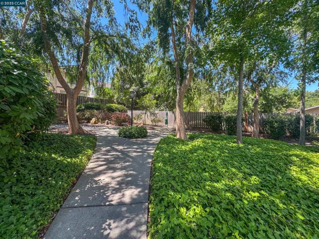 232 Jewel Terrace, Danville CA: https://media.crmls.org/mediaz/a69a9dd5-a28e-45f0-b798-cf7413f51be8.jpg