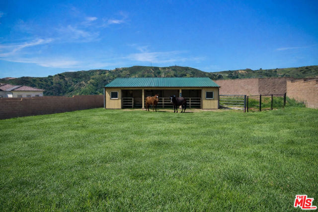 11865 Red Hawk Lane photo 8