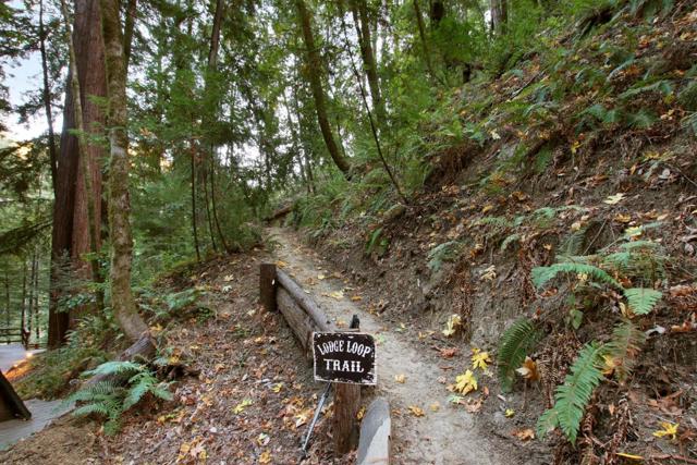 16770 Redwood Lodge Road, Los Gatos CA: https://media.crmls.org/mediaz/a6b42231-3493-41b4-a2cf-56527591f93d.jpg