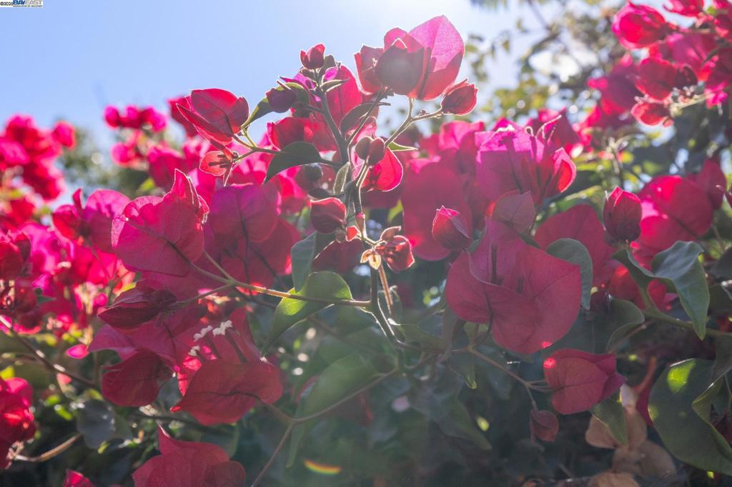 https://media.crmls.org/mediaz/a6b90546-188e-4b0d-b7f8-4199d027b1b7.jpg?preset=X-Large