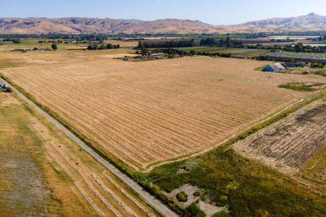 6200 Frye Lane, Hollister CA: https://media.crmls.org/mediaz/a6b98330-0344-41c6-82dc-b3e0bccc8608.jpg