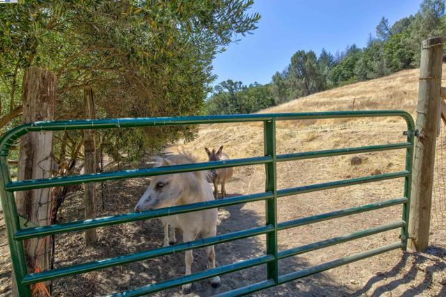 5281 Chiles Pope Valley Rd,  CA: https://media.crmls.org/mediaz/a6bd2fc0-d582-4d5e-807e-293b7c9d9168.jpg
