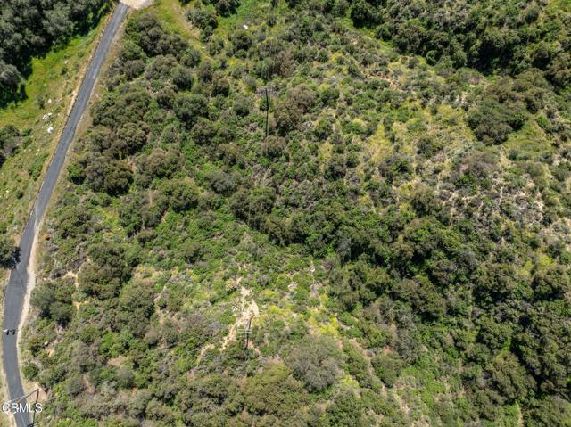 Detail Gallery Image 31 of 36 For 4700 Rising Hill Rd, Altadena,  CA 91001 - – Beds | – Baths