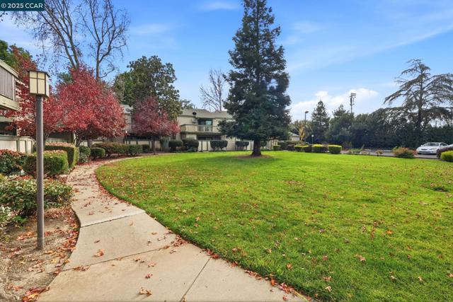 2890 Treat Blvd, Concord CA: https://media.crmls.org/mediaz/a6c9b00e-0edf-4ce7-9a0e-a80a4dcf57a6.jpg