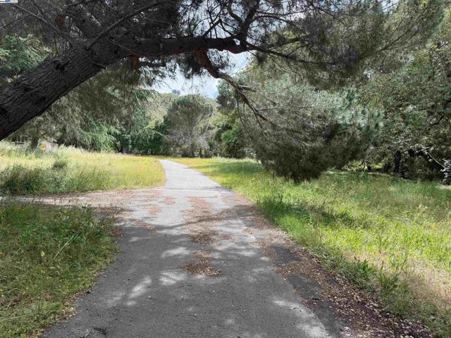 2950 Niles Canyon Rd, Castro Valley CA: https://media.crmls.org/mediaz/a6d659be-ff4a-4f02-88e5-26bf86346be5.jpg