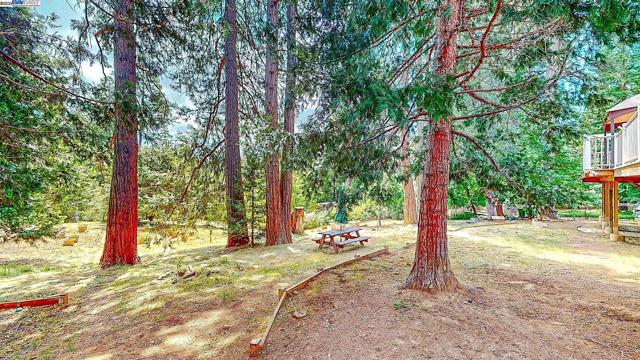 23357 Middle Camp Rd, Twain Harte CA: https://media.crmls.org/mediaz/a6dbe046-5c1c-463a-8ba9-bf04b6983f71.jpg
