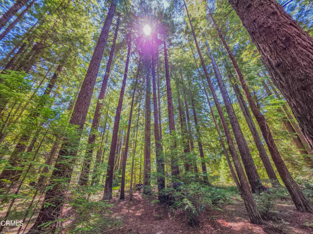 Detail Gallery Image 29 of 31 For 21601 Hellman Ln, Fort Bragg,  CA 95437 - 3 Beds | 1 Baths