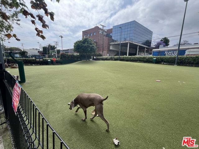 WeHo Dog Park - 2 Blocks