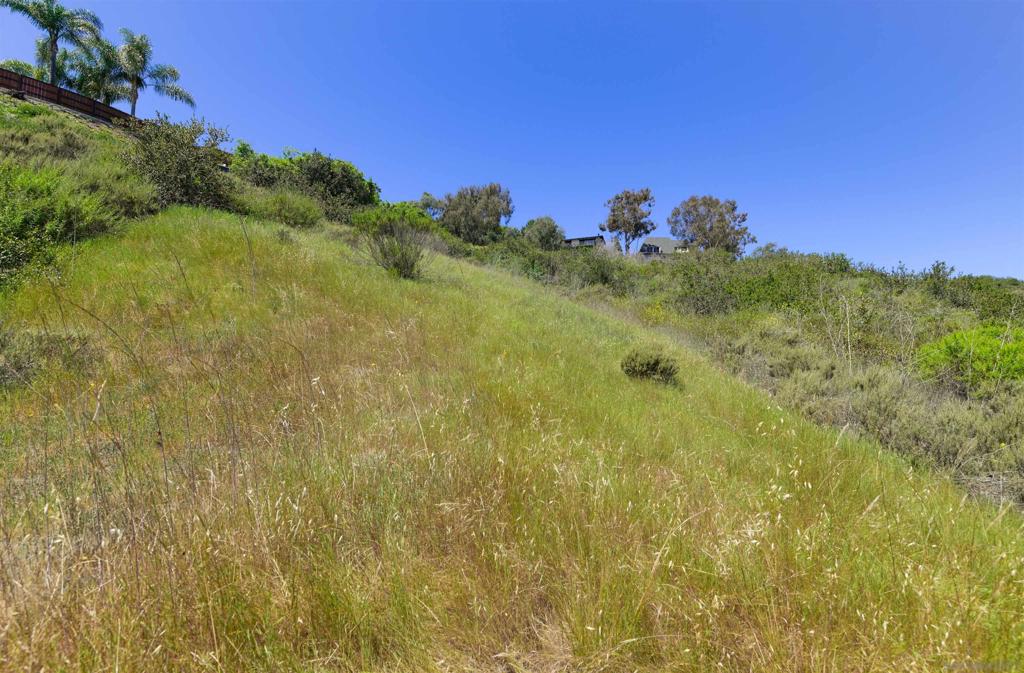 El Camino Real Carlsbad - photo 5