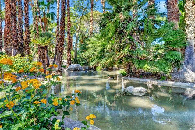 360 Cabrillo Road, Palm Springs CA: https://media.crmls.org/mediaz/a6f047b1-5035-4d81-b37f-1e5521cb2f3b.jpg