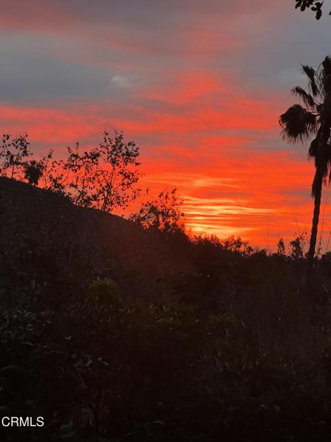 2880 Holliston Avenue, Altadena CA: https://media.crmls.org/mediaz/a6f387a1-7cdd-4957-8bd4-d6094c1aa4ac.jpg