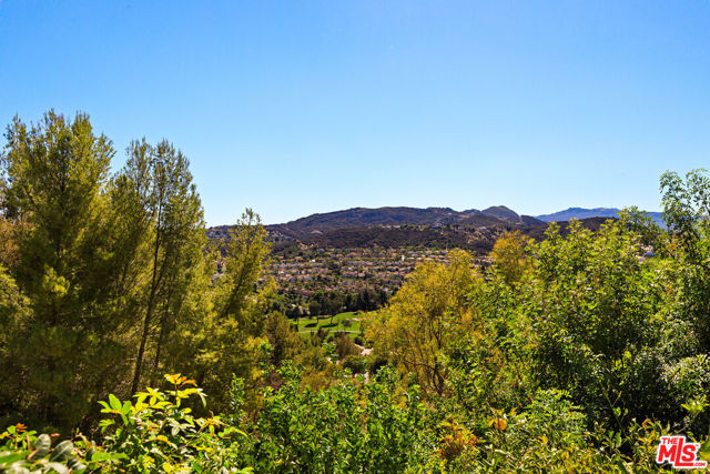 24446 Park Granada photo 23