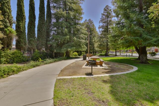 5956 Charlotte Drive, San Jose CA: https://media.crmls.org/mediaz/a70f8852-1acd-44e8-9b1a-e74ef22ec6b2.jpg