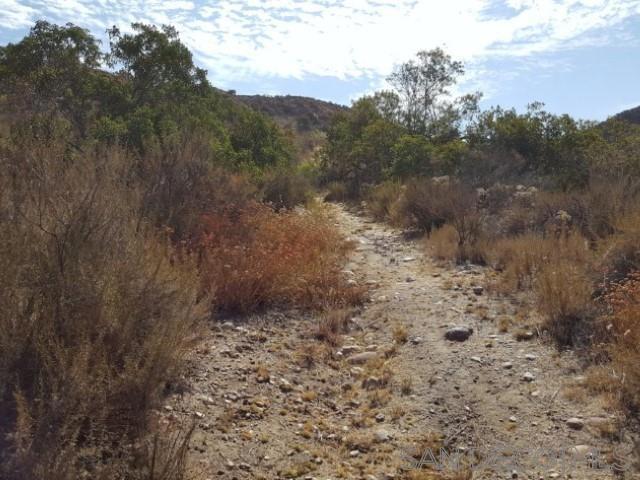 8209 Mesa, Santee CA: https://media.crmls.org/mediaz/a711527d-707f-4d41-afa0-74c669c59526.jpg