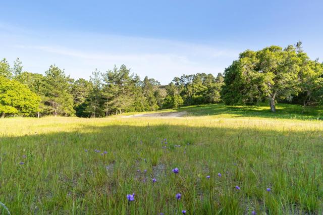 23 Tehama (Homesite 40), Carmel CA: https://media.crmls.org/mediaz/a71d4eea-41a5-498c-be8d-18ce10eaef3b.jpg