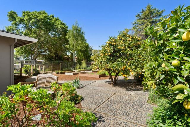 2975 Mattison Lane, Santa Cruz CA: https://media.crmls.org/mediaz/a726a049-db2f-4065-9125-b670fecf857d.jpg