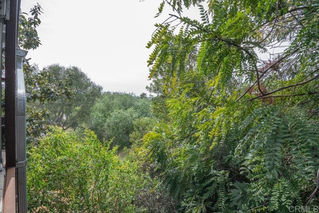 Detail Gallery Image 50 of 62 For 914 N Main Ave, Fallbrook,  CA 92028 - 3 Beds | 2 Baths