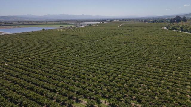 275 Bolsa Road, Gilroy CA: https://media.crmls.org/mediaz/a7390361-72fa-49d7-9441-c7f430c74a95.jpg