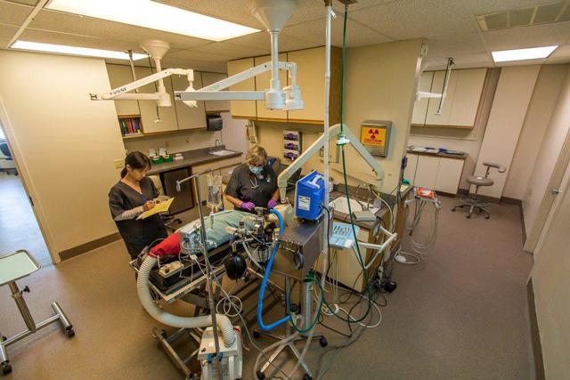 987 Laurel Street, San Carlos CA: https://media.crmls.org/mediaz/a7416831-c527-4b19-a55f-465be290879f.jpg