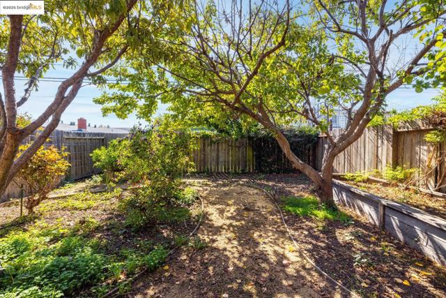 View of fenced backyard