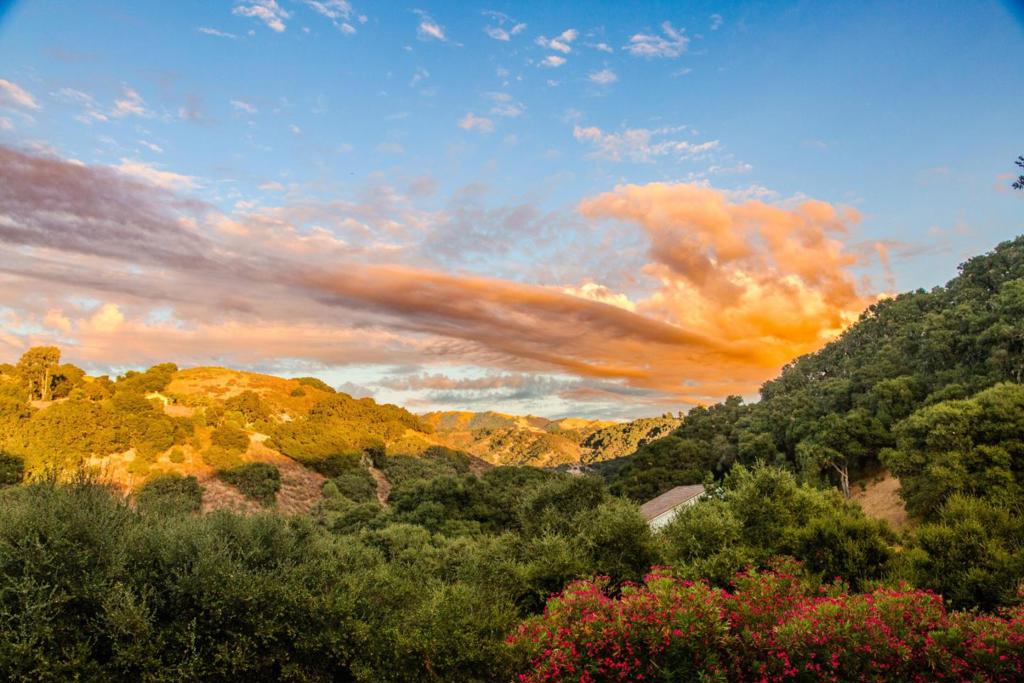 MLS #ML82027386 image #26