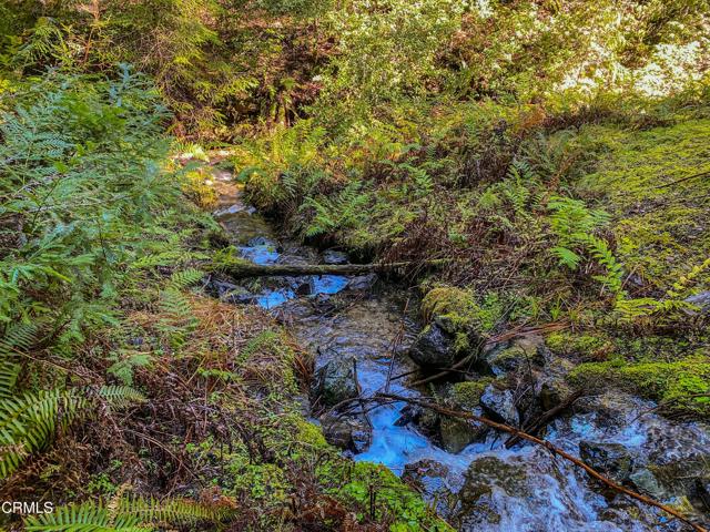 0 Irmulco Road, Willits CA: https://media.crmls.org/mediaz/a759ec6f-fdfb-4009-b31e-f940254eb71e.jpg