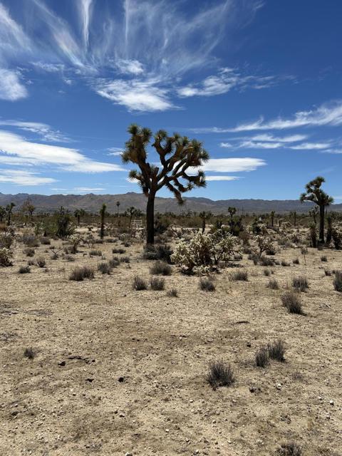 0 Sun Oro Road Road, Yucca Valley CA: https://media.crmls.org/mediaz/a75c1588-e69c-451b-a041-830569d89ff8.jpg