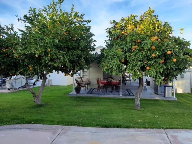 Image 3 of 11 For 81620 Avenue 49
