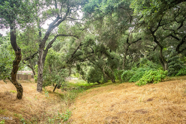 1400 Park Drive, Ojai CA: https://media.crmls.org/mediaz/a7714df5-b81d-4303-a7d3-672c4368b18f.jpg