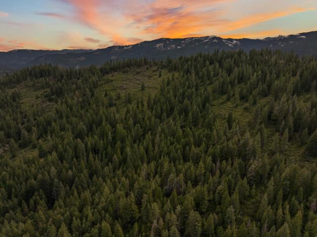 2120 Pack Trail, Mount Shasta CA: https://media.crmls.org/mediaz/a7716428-2e62-499f-b580-c2c8bda46eb1.jpg