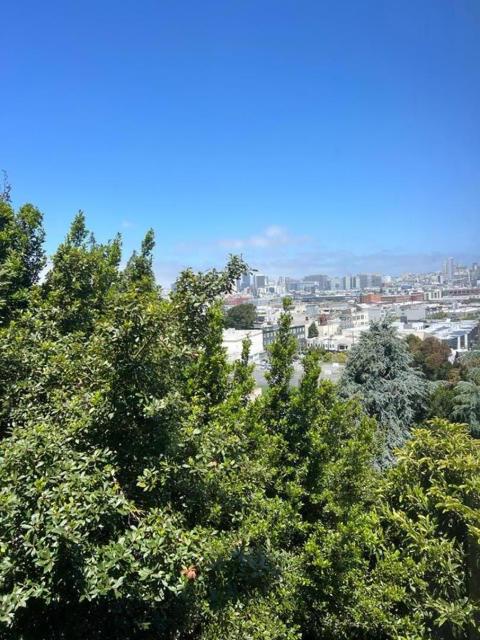 426 Arkansas Street, San Francisco CA: https://media.crmls.org/mediaz/a77480ce-0e66-4bd9-b75f-d58d33ff271b.jpg