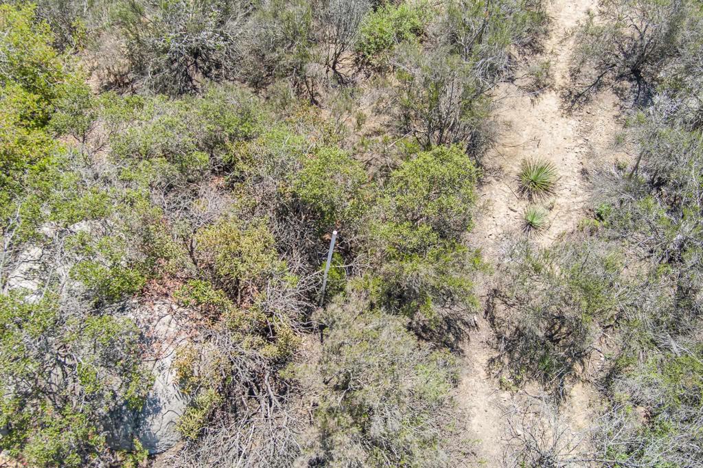 MLS #NDP2503868 image #41