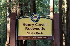 819 Brookside Way, Felton CA: https://media.crmls.org/mediaz/a7770430-e38d-4576-8ffa-39f87b035c33.jpg