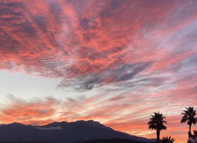 Image 38 of 68 For 74711 Dillon Rd Spc 962