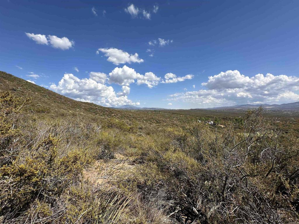 MLS #PTP2506948 image #14