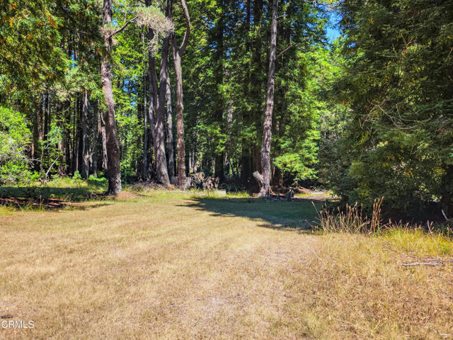Detail Gallery Image 27 of 31 For 21601 Hellman Ln, Fort Bragg,  CA 95437 - 3 Beds | 1 Baths