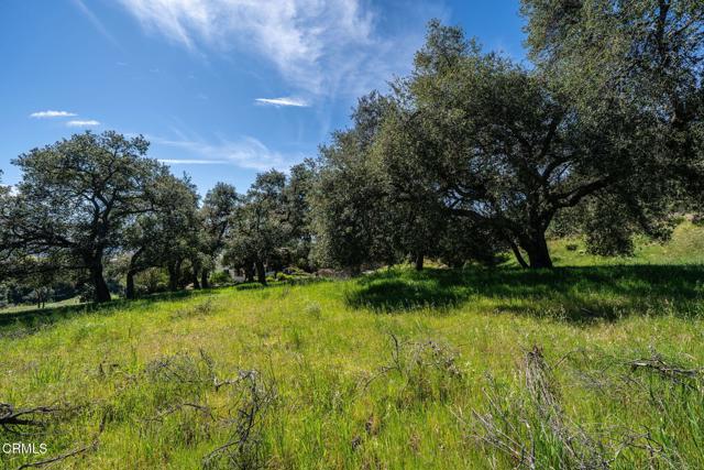 Detail Gallery Image 6 of 44 For 4700 Rising Hill Rd, Altadena,  CA 91001 - – Beds | – Baths