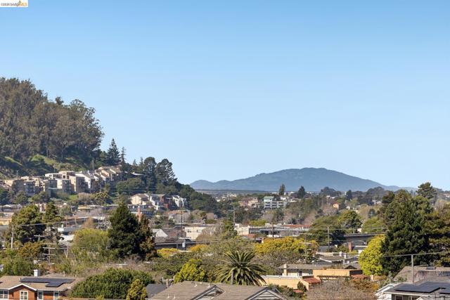 1509 Francis St, Albany CA: https://media.crmls.org/mediaz/a7acbf05-1584-41d2-86d1-691cbe2405ff.jpg