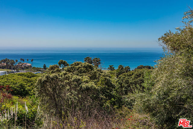 Drew Fenton | 30601 Morning View Drive Malibu CA | MLS: 7173025