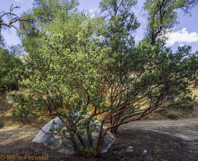 1 Cryer Road, Poppet Flats Road, Banning CA: https://media.crmls.org/mediaz/a7b8f08b-3b6d-41f0-8ef0-044acbd49b16.jpg